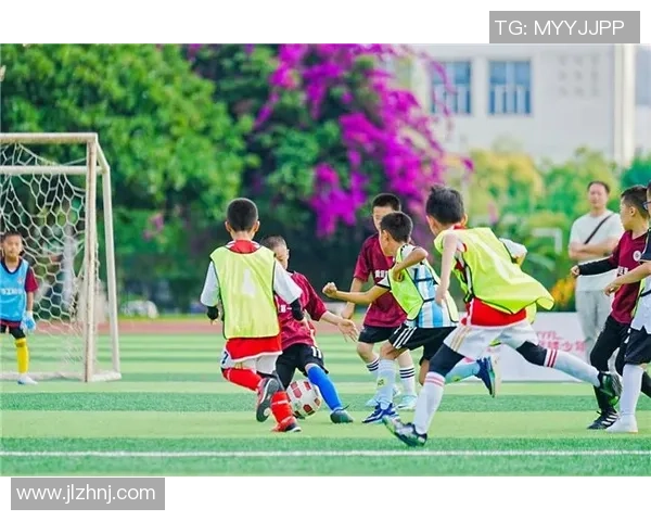 探索ak足球的魅力与发展历程，揭示其背后的故事与未来趋势